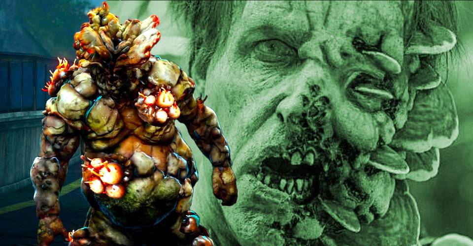 How The Walking Dead’s Zombie Mushroom Cure Could Help HBOs The Last Of Us How The Walking Dead’s Zombie Mushroom Cure Could Help HBOs The Last Of Us
